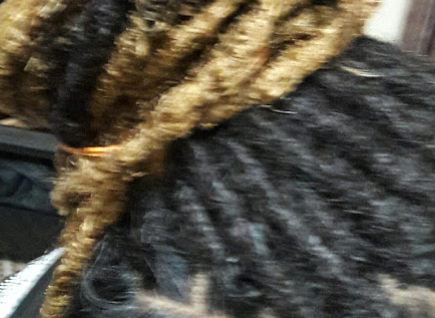 Braids & Dreadlocks by vicky